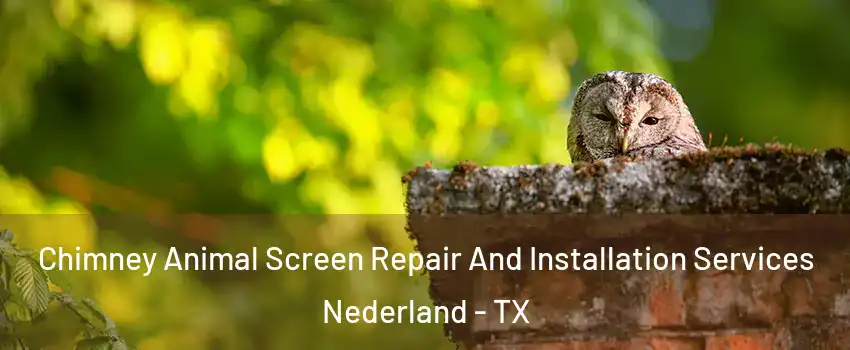  Chimney Animal Screen Repair And Installation Services Nederland - TX