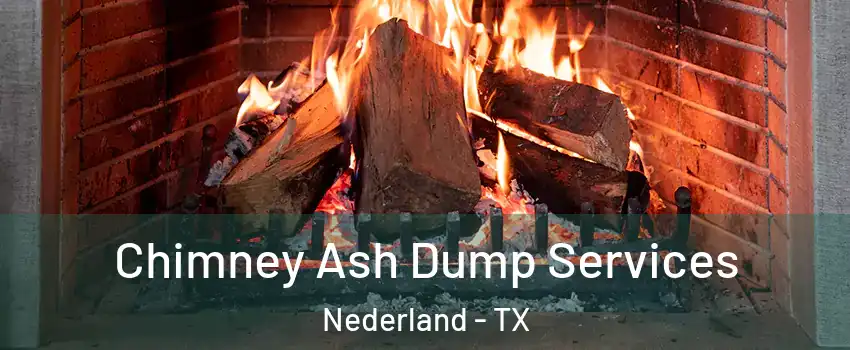  Chimney Ash Dump Services Nederland - TX