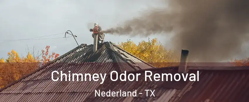  Chimney Odor Removal Nederland - TX