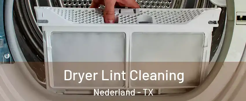  Dryer Lint Cleaning Nederland - TX