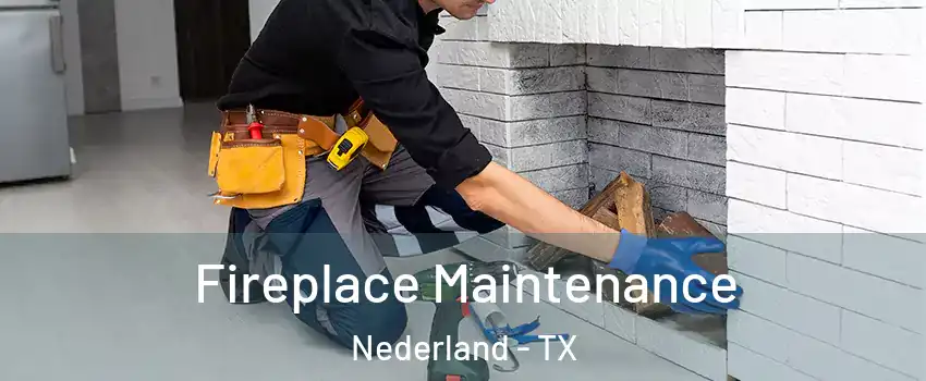  Fireplace Maintenance Nederland - TX