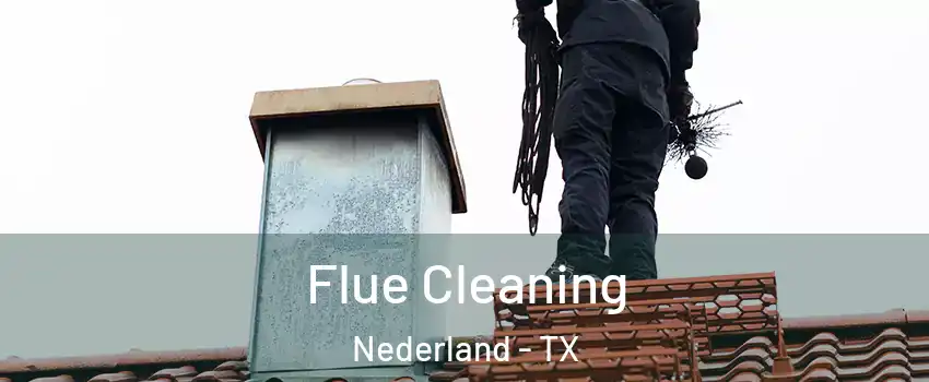  Flue Cleaning Nederland - TX