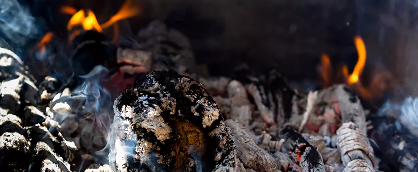 Creosote Removal Experts in Nederland, TX